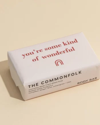 The-Commonfolk-youre-some-kinda-wonderful-soap