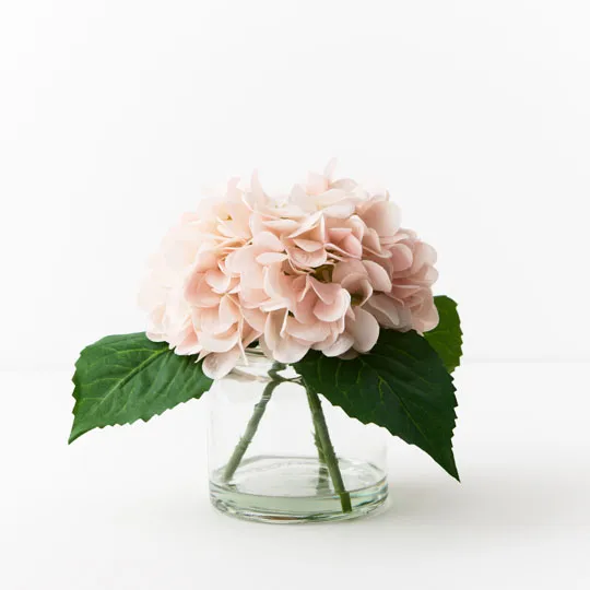 Soft Pink Hydrangea In Vase