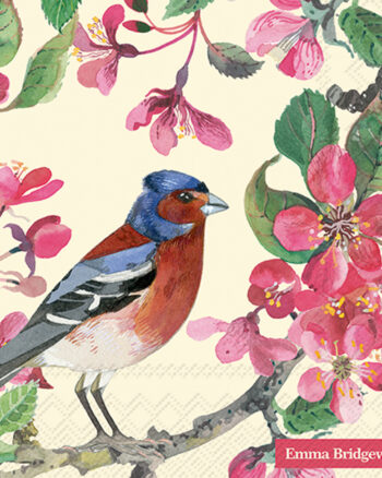 Emma Bridgewater - Blossom Napkins
