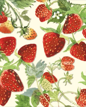 Emma Bridgewater - Strawberry Days Greeting Card