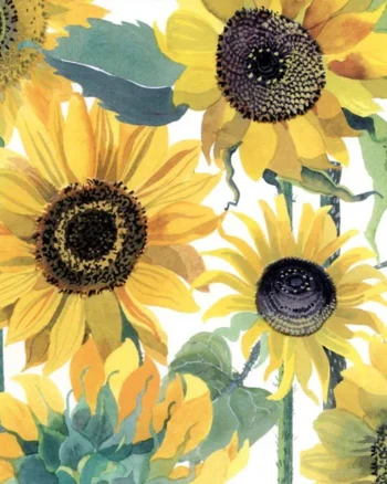 Emma Bridgewater - Sunflowers Greeting Card