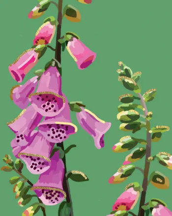 Sarah Kelleher – Summer Card